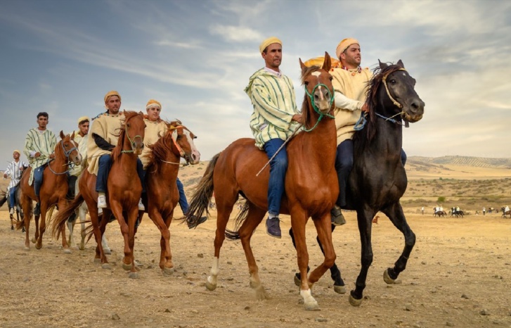 تصوير: نضال الشريفي تصوير: نضال الشريفي