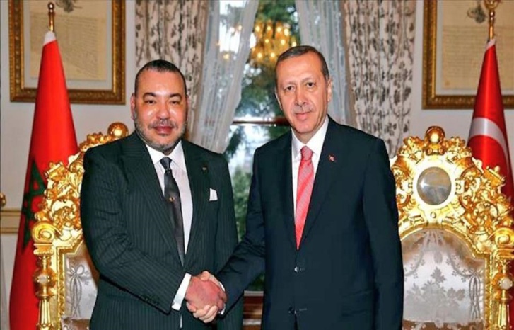 هل يفتح فوز الرئيس أردوغان بولاية ثانية الآفاق الواسعة لتطوير العلاقات التجارية بين المغرب وتركيا؟ هل يفتح فوز الرئيس أردوغان بولاية ثانية الآفاق الواسعة لتطوير العلاقات التجارية بين المغرب وتركيا؟