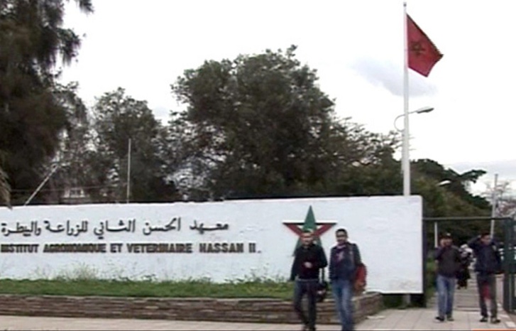 "بين الأمن الغذائي والسيادة الغذائية" محور المنتدى السنوي للمقاولات "بين الأمن الغذائي والسيادة الغذائية" محور المنتدى السنوي للمقاولات