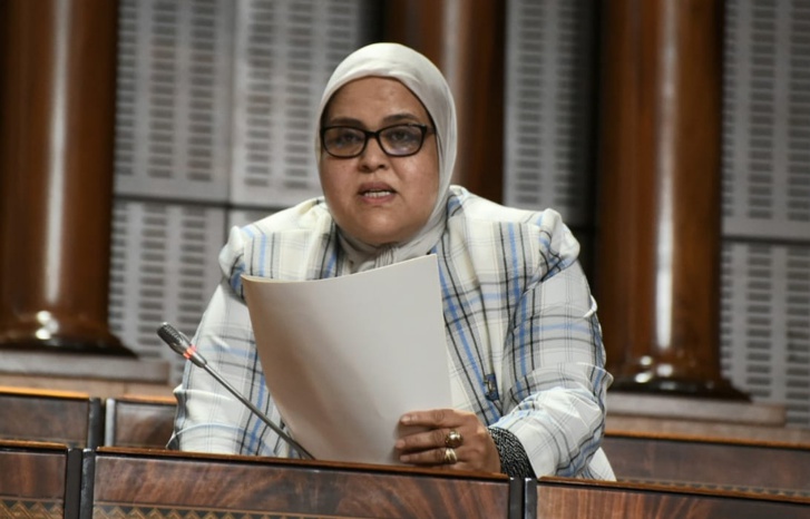 النائبة البرلمانية سميرة حجازي النائبة البرلمانية سميرة حجازي