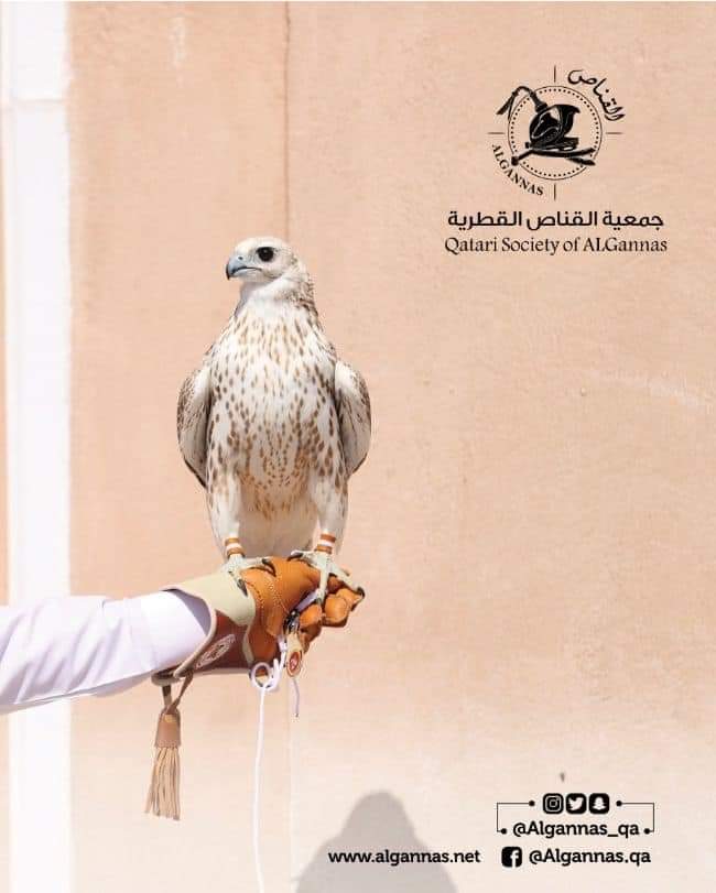 العرائش: انطلاق عملية التسجيل بالمسابقة الوطنية في الفن التشكيلي العرائش: انطلاق عملية التسجيل بالمسابقة الوطنية في الفن التشكيلي