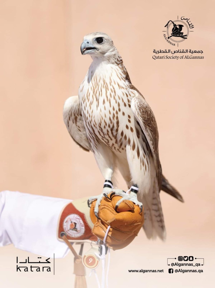 العرائش: انطلاق عملية التسجيل بالمسابقة الوطنية في الفن التشكيلي العرائش: انطلاق عملية التسجيل بالمسابقة الوطنية في الفن التشكيلي