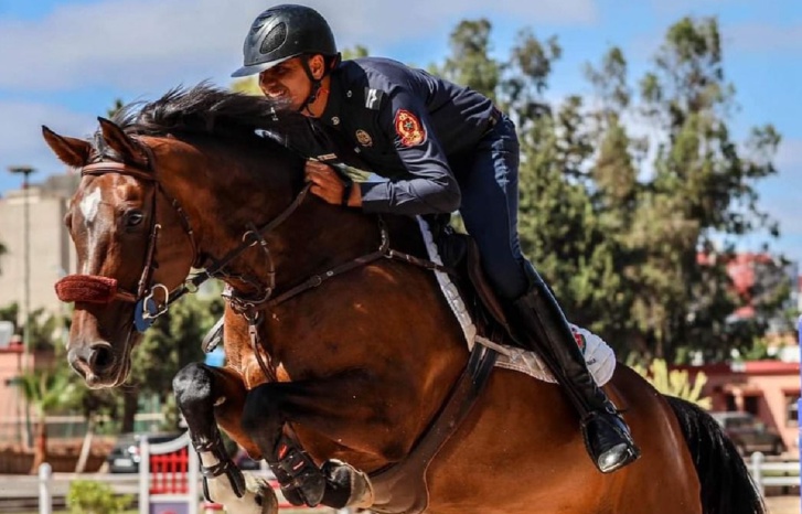 خيالة الأمن الوطني يتألقون في منافسات القفز على الحواجز خيالة الأمن الوطني يتألقون في منافسات القفز على الحواجز