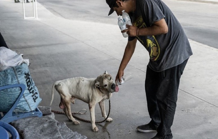 الأمين العام للأمم المتحدة يُحَذِّرْ: "عصر الغليان العالمي" بدأ في الأرض الأمين العام للأمم المتحدة يُحَذِّرْ: "عصر الغليان العالمي" بدأ في الأرض