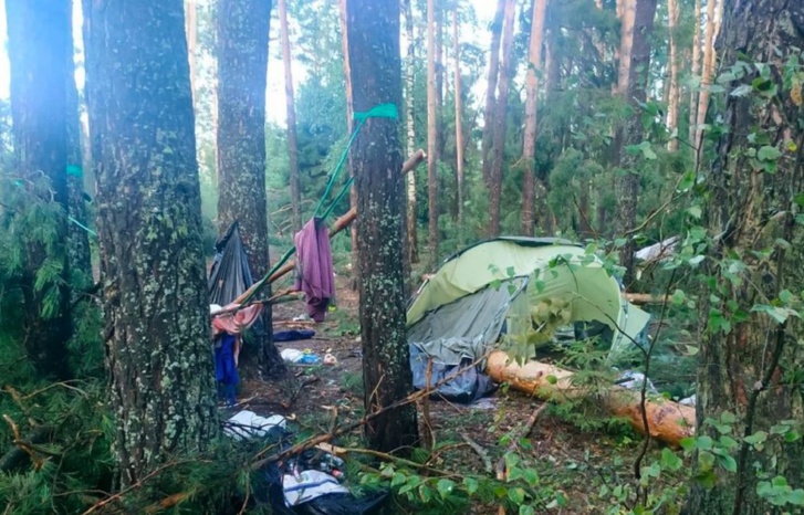 حرائق غابات مدمرة في سوريا وكندا وعواصف عاتية في روسيا وأعاصير في الصين والفلبين حرائق غابات مدمرة في سوريا وكندا وعواصف عاتية في روسيا وأعاصير في الصين والفلبين