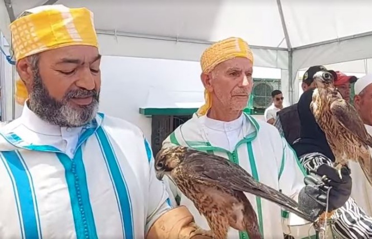 افتتاح فعاليات دورة 2023 لموسم مولاي عبد الله أمغار افتتاح فعاليات دورة 2023 لموسم مولاي عبد الله أمغار