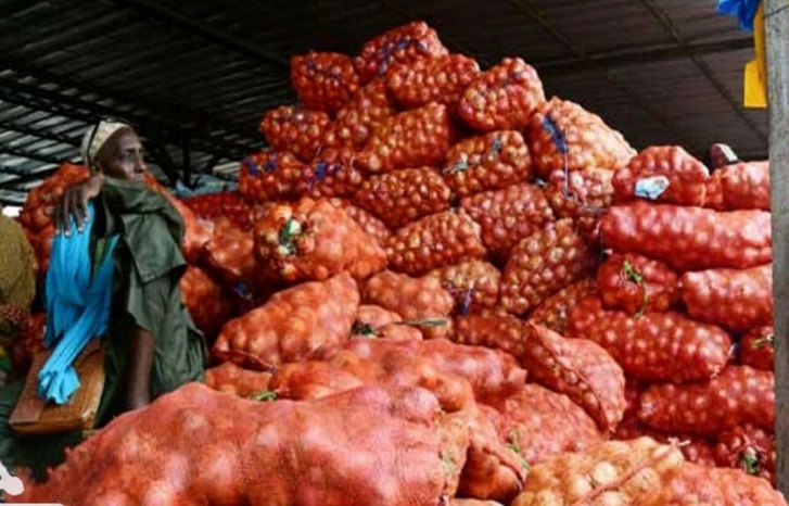 السنغال تعلق آمالها على المغرب لمحاربة أسعار البصل الملتهبة في أسواقها