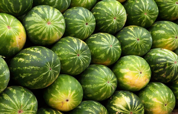 أونسا تمنع بيع "الدلاح" بأكادير.. أونسا تمنع بيع "الدلاح" بأكادير..