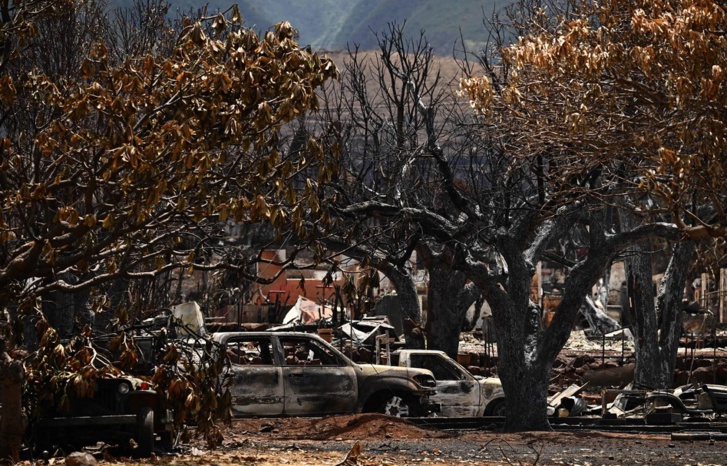 جنون المناخ.. حرارة قياسية وحرائق وفيضانات وانهيارات طينية جنون المناخ.. حرارة قياسية وحرائق وفيضانات وانهيارات طينية