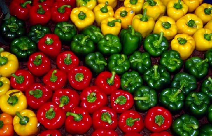 المغرب يتجاوز هولندا ويصبح ثاني أكبر مورد للفلفل إلى أوروبا المغرب يتجاوز هولندا ويصبح ثاني أكبر مورد للفلفل إلى أوروبا