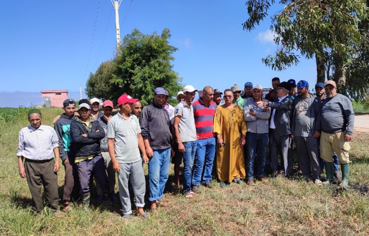 موسم فلاحي كارثي يضر بمحاصيل "الدلاح" بإقليم العرائش موسم فلاحي كارثي يضر بمحاصيل "الدلاح" بإقليم العرائش
