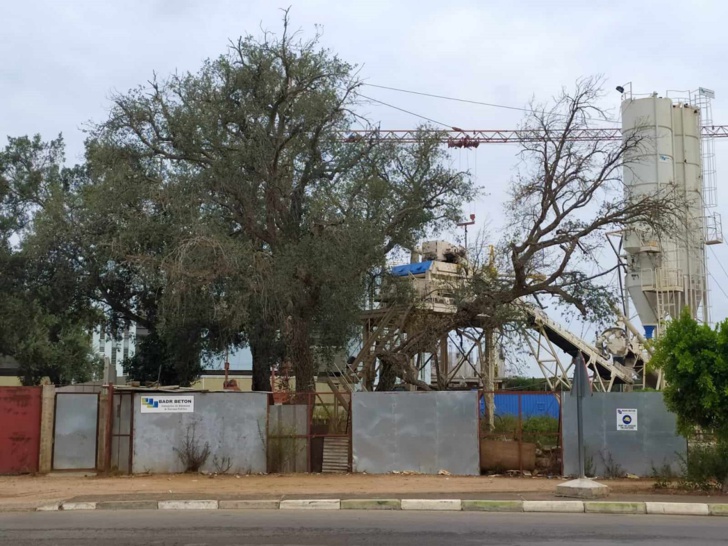 الملعب البلدي لكرة القدم الملعب البلدي لكرة القدم