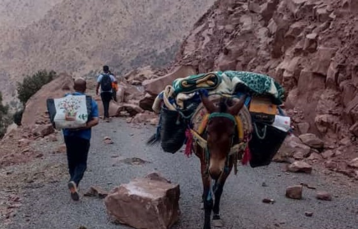 تضامن لا محدود مع ضحايا زلزال الحوز.. المتطوعون يد واحدة من أجل تخفيف معاناة الأسر المنكوبة تضامن لا محدود مع ضحايا زلزال الحوز.. المتطوعون يد واحدة من أجل تخفيف معاناة الأسر المنكوبة