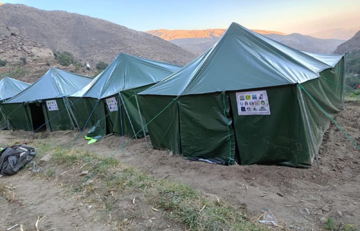 زلزال الحوز كشف المستور: تجار الأزمات.. ذئاب بشرية تعيش على المآسي تحتاج إلى فضح وردع زلزال الحوز كشف المستور: تجار الأزمات.. ذئاب بشرية تعيش على المآسي تحتاج إلى فضح وردع