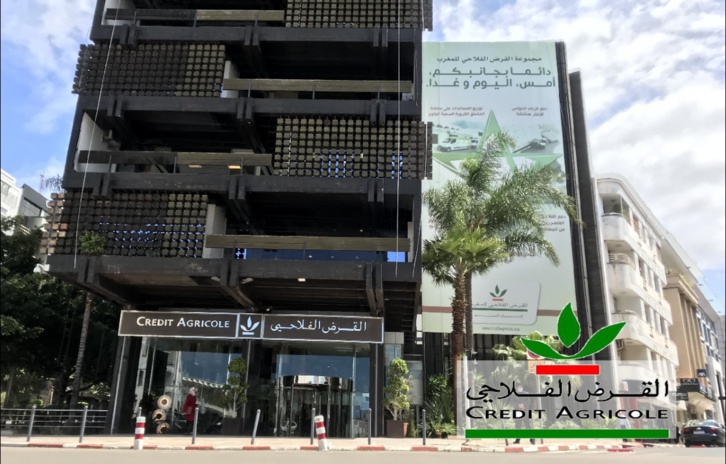 مجموعة القرض الفلاحي توقع أربع اتفاقيات شراكة مع جمعيات مهنية مجموعة القرض الفلاحي توقع أربع اتفاقيات شراكة مع جمعيات مهنية