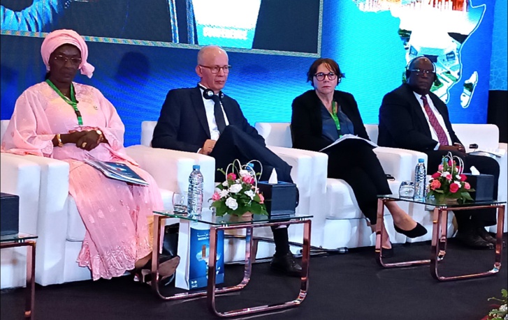 88،6 مليار دولار تغادر القارة كل سنة على شكل تدفقات غير مشروعة 88،6 مليار دولار تغادر القارة كل سنة على شكل تدفقات غير مشروعة