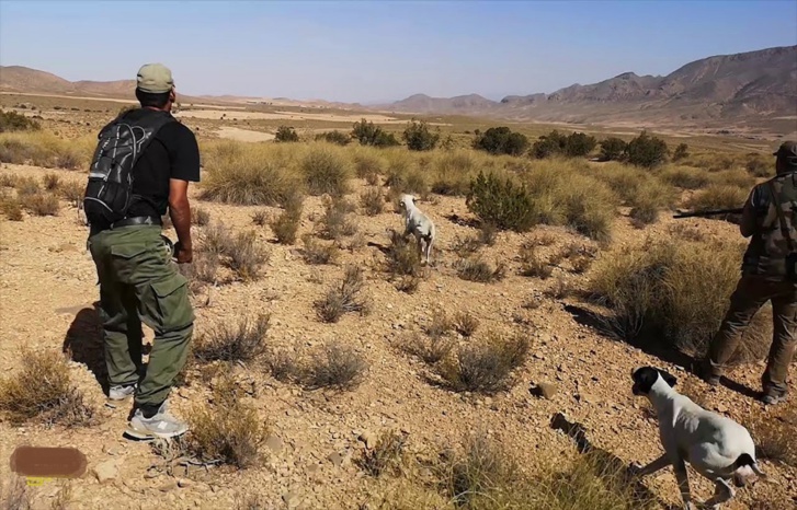 ساكنة انجرة تعبر عن امتنانها لكل من ساندها في أزمة القنص بممتلكاتها ساكنة انجرة تعبر عن امتنانها لكل من ساندها في أزمة القنص بممتلكاتها