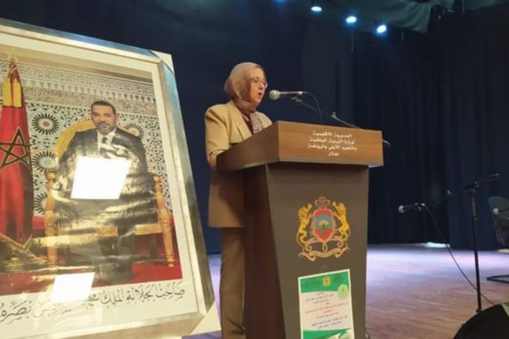 وزان: اختتام الحملة التواصلية حول برنامج التعليم الأولي وزان: اختتام الحملة التواصلية حول برنامج التعليم الأولي