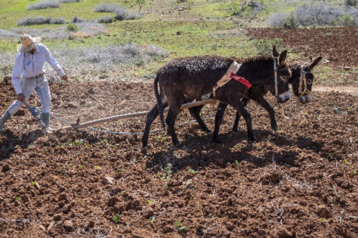 ترقب وسط مخاوف من عودة الجفاف ترقب وسط مخاوف من عودة الجفاف