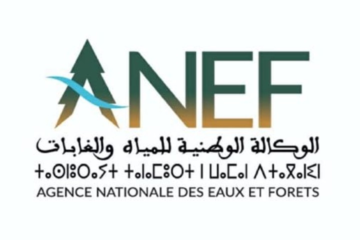 وكالة المياه والغابات توضح حقيقة احتكار صفقات بالملايير.. وكالة المياه والغابات توضح حقيقة احتكار صفقات بالملايير..