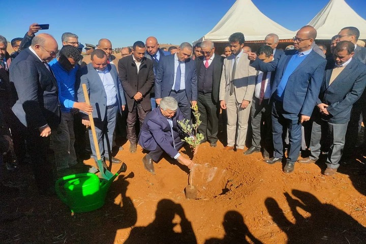 دمنات.. زراعة شجر الخروب في جماعة سيدي يعقوب: وزير الفلاحة يعطي انطلاقة مشروع ضخم ضمن برنامج الفلاحة التضامنية