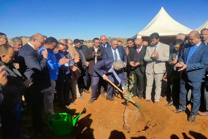 دمنات.. زراعة شجر الخروب في جماعة سيدي يعقوب: وزير الفلاحة يعطي انطلاقة مشروع ضخم ضمن برنامج الفلاحة التضامنية دمنات.. زراعة شجر الخروب في جماعة سيدي يعقوب: وزير الفلاحة يعطي انطلاقة مشروع ضخم ضمن برنامج الفلاحة التضامنية