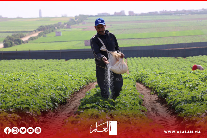 أمطار الخير تعيد الأمل في إنقاذ ما تبقى من الموسم الفلاحي وتوقعات باستمرارها أمطار الخير تعيد الأمل في إنقاذ ما تبقى من الموسم الفلاحي وتوقعات باستمرارها