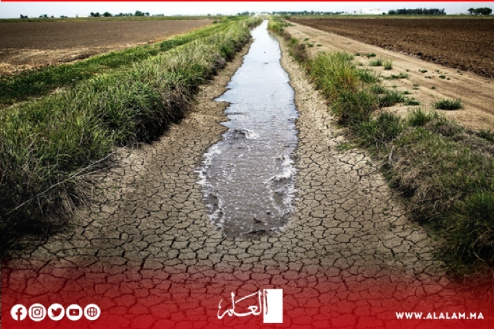 المغرب‭ ‬يعد‭ ‬العدة‭ ‬لمواجهة‭ ‬موجة‭ ‬الجفاف‭ ‬وصعوبات‭ ‬الإمدادات‭ ‬من‭ ‬القمح‭ ‬بأنواعه