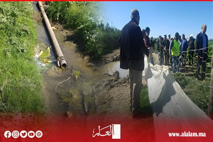 أراضي فلاحية تسقى بمياه الصرف الصحي في القصر الكبير أراضي فلاحية تسقى بمياه الصرف الصحي في القصر الكبير