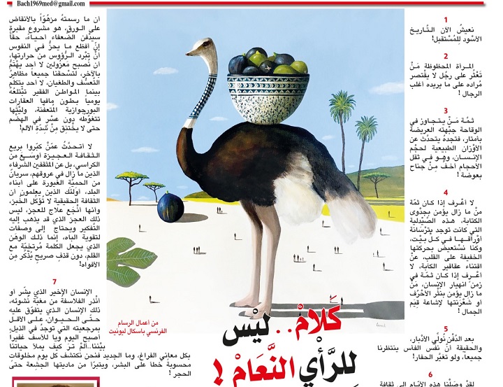 كَلامْ.. ليْس لِلرَّأْيِ النَّعَامْ ! كَلامْ.. ليْس لِلرَّأْيِ النَّعَامْ !