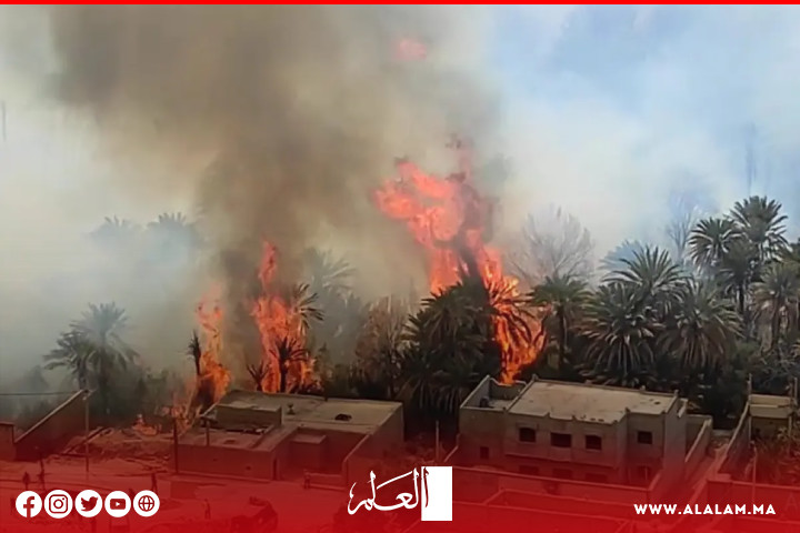 حريق مهول يأتي على واحة بإقليم الرشيدية.. حريق مهول يأتي على واحة بإقليم الرشيدية..