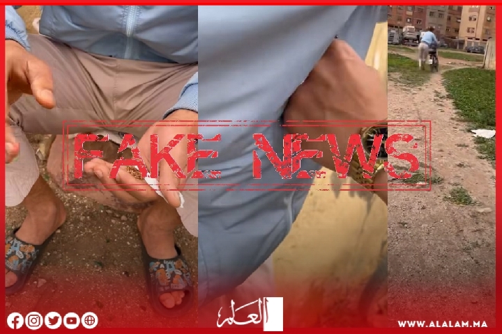 أمن البيضاء يكشف حقيقة فيديو أثار الهلع في وسائل التواصل الاجتماعي أمن البيضاء يكشف حقيقة فيديو أثار الهلع في وسائل التواصل الاجتماعي