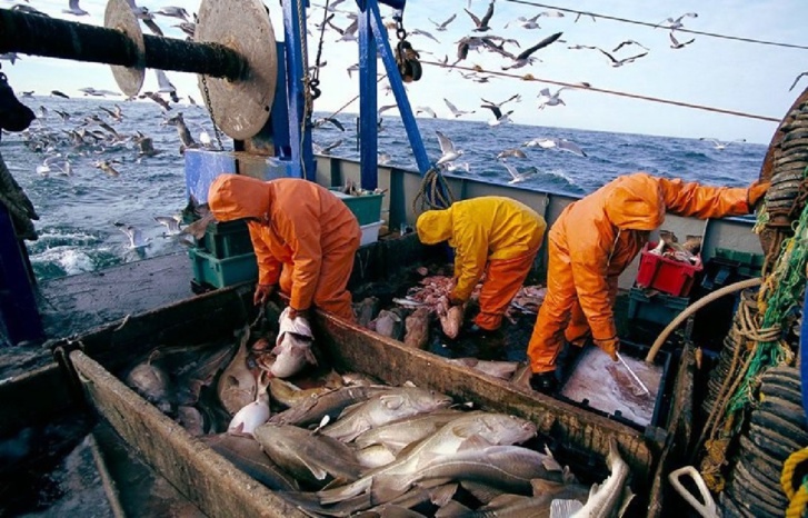 الحكومة‭ ‬المغربية‭ ‬تؤكد مآل‭ ‬تجديد‭ ‬اتفاقية‭ ‬الصيد‭ ‬البحري‭