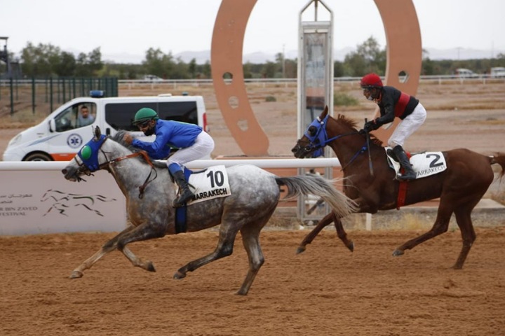 مراكش تستضيف كأسي زايد والشيخة فاطمة للخيول مراكش تستضيف كأسي زايد والشيخة فاطمة للخيول