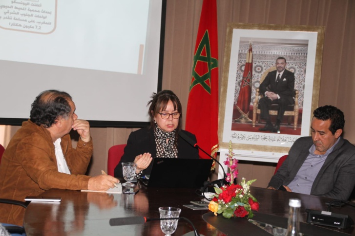 أكادير: الكشف عن استراتيجية تطوير مناطق الواحات وشجر الأركان أكادير: الكشف عن استراتيجية تطوير مناطق الواحات وشجر الأركان