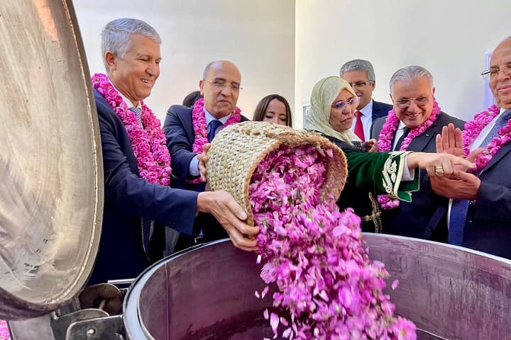 قلعة مكونة تحتضن الدورة 59 للمعرض الدولي للورد العطري قلعة مكونة تحتضن الدورة 59 للمعرض الدولي للورد العطري