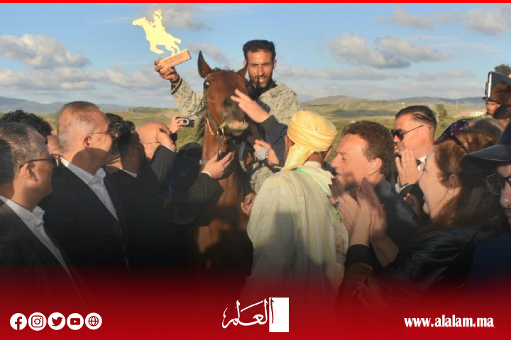 اختتام فعاليات الدورة الثانية عشر من المهرجان الدولي لفروسية "ماطا" على وقع النجاح الكبير اختتام فعاليات الدورة الثانية عشر من المهرجان الدولي لفروسية "ماطا" على وقع النجاح الكبير