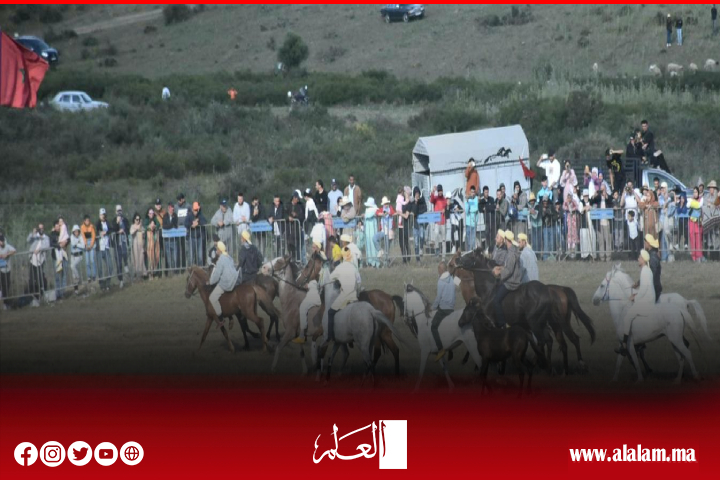 اختتام فعاليات الدورة الثانية عشر من المهرجان الدولي لفروسية "ماطا" على وقع النجاح الكبير اختتام فعاليات الدورة الثانية عشر من المهرجان الدولي لفروسية "ماطا" على وقع النجاح الكبير