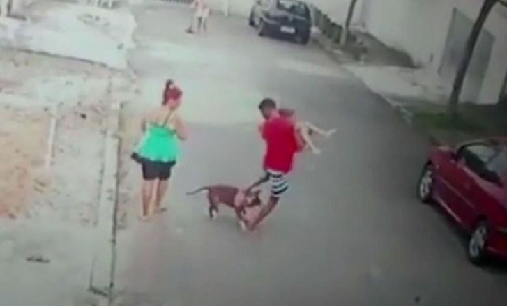 حتى لا تنهش الكلاب أبناءنا.. حقوق المستهلك تدق ناقوس الخطر حتى لا تنهش الكلاب أبناءنا.. حقوق المستهلك تدق ناقوس الخطر