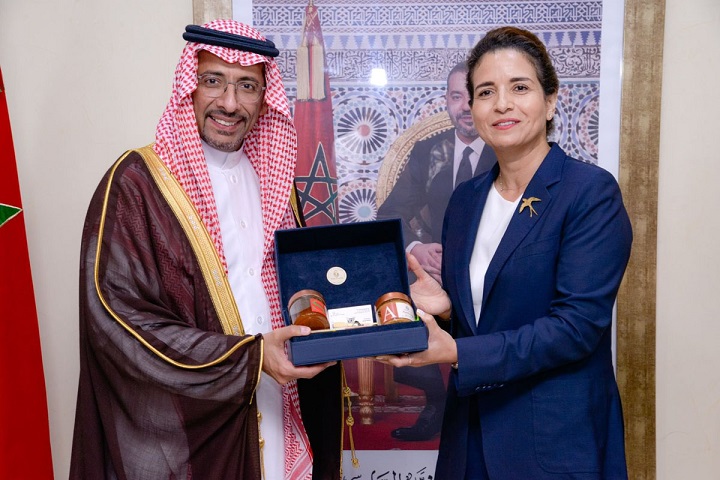 تنويه سعودي بتجربة المغرب في مجال الصناعات التعدينية تنويه سعودي بتجربة المغرب في مجال الصناعات التعدينية