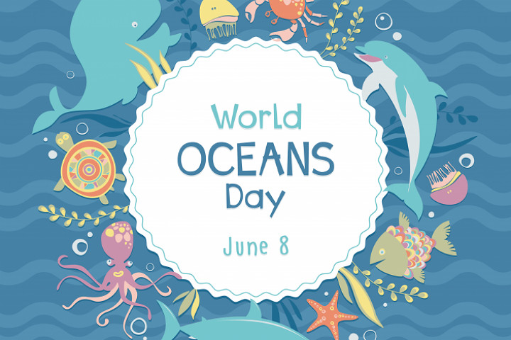 اليوم العالمي للمحيط.. مؤسسة محمد السادس لحماية البيئة تتعبأ لحماية البيئة البحرية اليوم العالمي للمحيط.. مؤسسة محمد السادس لحماية البيئة تتعبأ لحماية البيئة البحرية