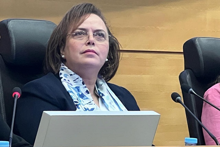 حيار تؤكد أهمية التعاون بين السلطة القضائية والتنفيذية لتوفير حماية متكاملة للطفل حيار تؤكد أهمية التعاون بين السلطة القضائية والتنفيذية لتوفير حماية متكاملة للطفل