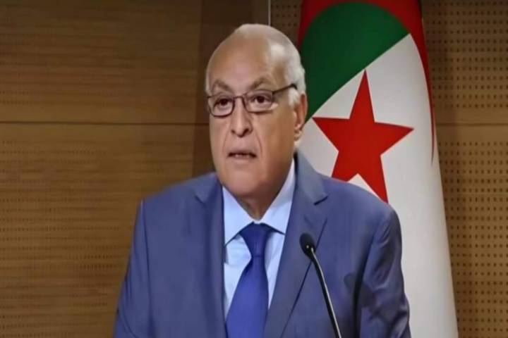 الدبلوماسية الجزائرية أو مرحلة الصعود إلى الهاوية الدبلوماسية الجزائرية أو مرحلة الصعود إلى الهاوية