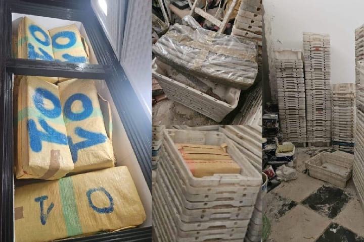 طنجة: خمسة أشخاص في قبضة العدالة بتهمة التهريب الدولي للمخدرات طنجة: خمسة أشخاص في قبضة العدالة بتهمة التهريب الدولي للمخدرات
