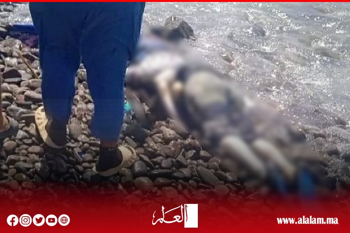 دبلوماسي جزائري ينتقل إلى الناظور للتأكد من هوية جثتين لفظهما البحر دبلوماسي جزائري ينتقل إلى الناظور للتأكد من هوية جثتين لفظهما البحر