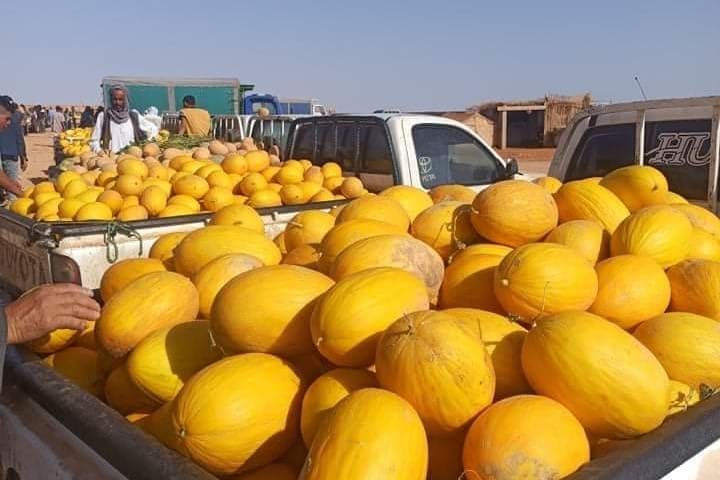 سلطات سيدي علال التازي تنجح في تحرير الملك العمومي وتحسين السير سلطات سيدي علال التازي تنجح في تحرير الملك العمومي وتحسين السير