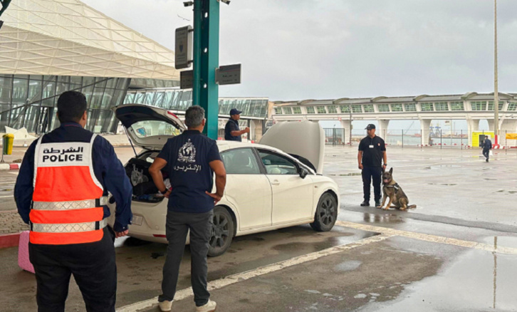 بينها المغرب.. توقيف 66 شخصا في عملية لمكافحة الإرهاب بـ14 دولة بينها المغرب.. توقيف 66 شخصا في عملية لمكافحة الإرهاب بـ14 دولة