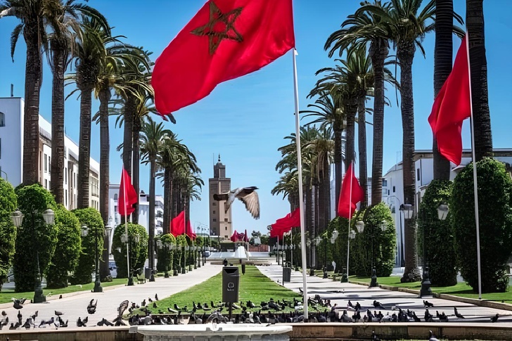 المغرب يحقق فائض المكتسبات بالديناميةالإيجابية للدبلوماسية المغرب يحقق فائض المكتسبات بالديناميةالإيجابية للدبلوماسية