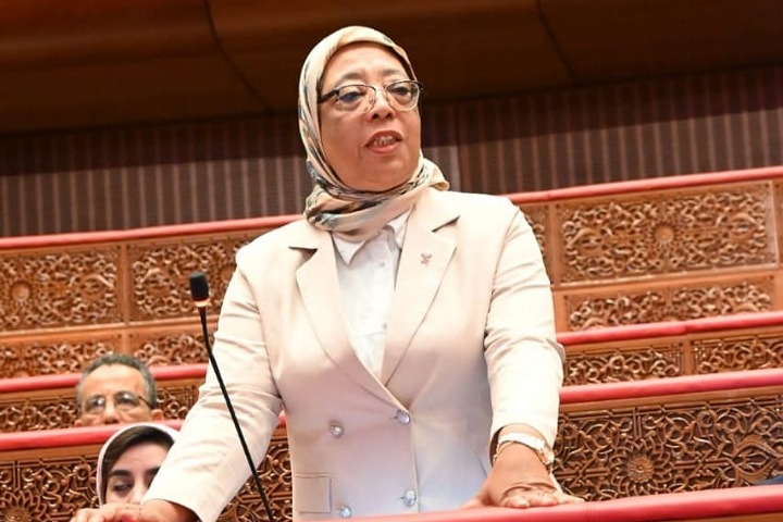 برلمانية تطالب بتشديد العقوبات ضد تجار الأزمات برلمانية تطالب بتشديد العقوبات ضد تجار الأزمات