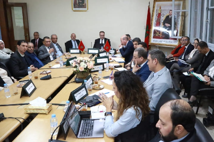 الزيارات الميدانية للجماعات الترابية بإقليم النواصر تتواصل الزيارات الميدانية للجماعات الترابية بإقليم النواصر تتواصل